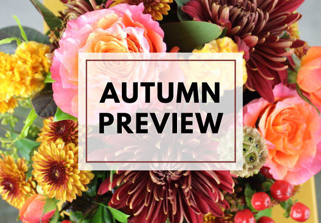 Autumn Flowers
