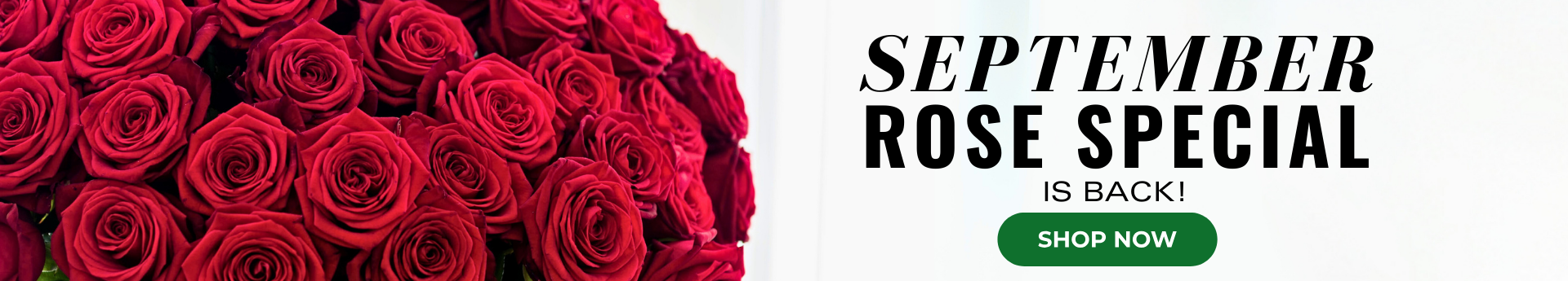 Premium Rose bouquets delivered to Annapolis Maryland